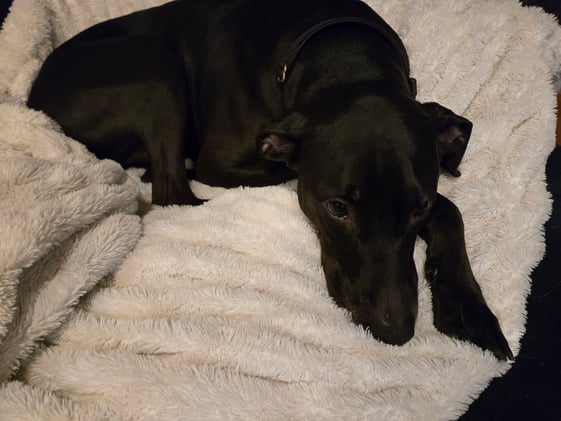 #AcademicRunPlaylist - 1/12/26