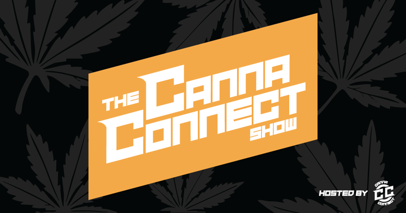 Campaigns, Fresh Episodes & a Holiday Party Worth Attending