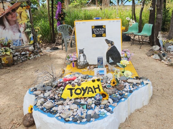 Newsport Alert Monday 10 November 2025