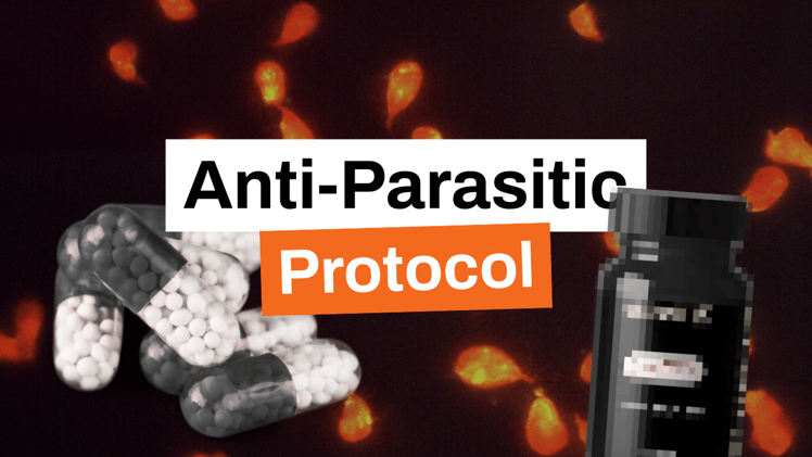 Anti-Parasitic Protocols For Cancer Patients