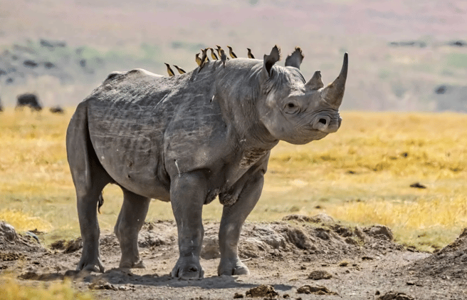 Nature is Always a Give-and-Take