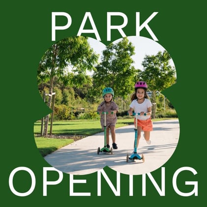 🔵 Tauton Way Opening Bash