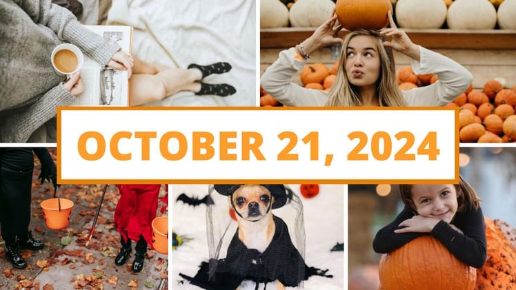 Fun fall festivals, local bookstores to explore & more!