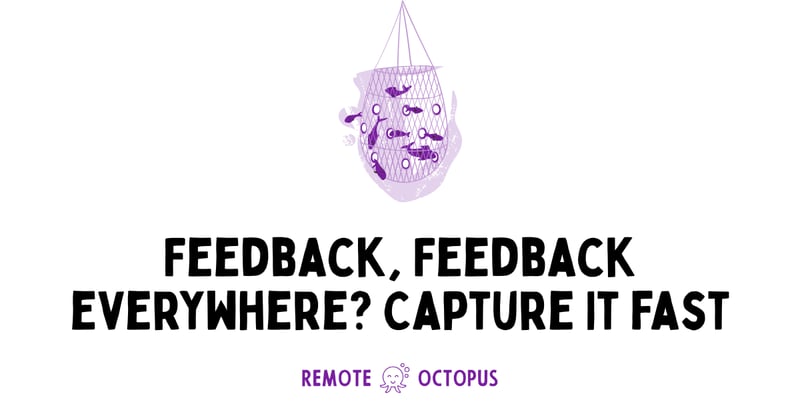 Feedback, Feedback Everywhere? Capture It Fast!