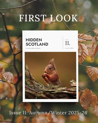 Pre-Order Now Live - Secure your free A5 print & Bookmark with issue 11 today