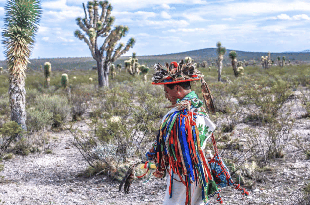 Wixárika Pilgrimage Route Earns UNESCO World Heritage Status