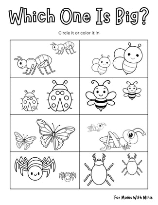 Big and Small Insects Worksheet