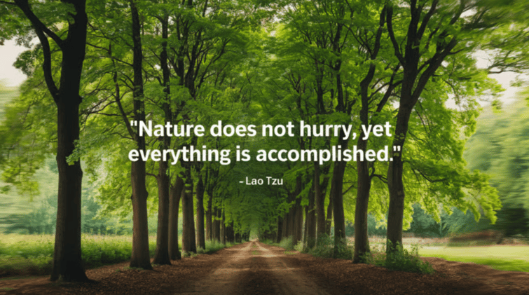 Leveraging Patience in the Midst of Acceleration