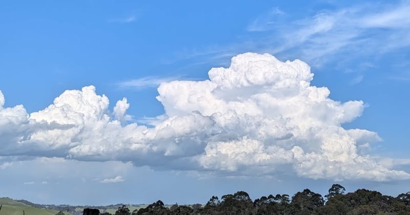 Newsletter: Ultimate hikers guide to Gippsland