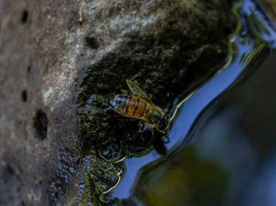 Don't Be So Serious!