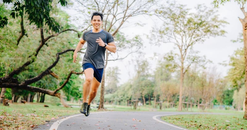 Fuelling Your Metabolism