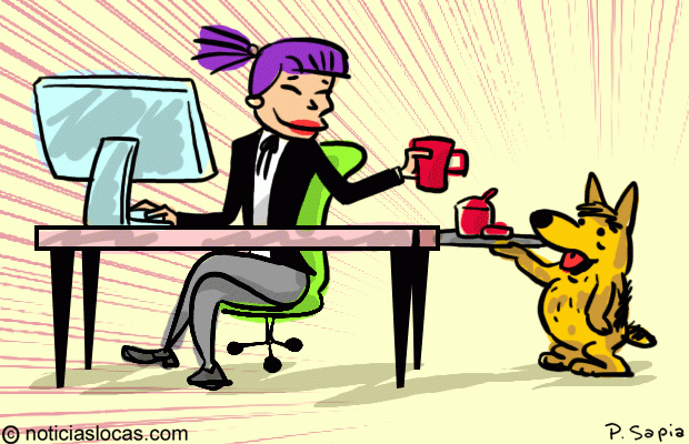 En esta empresa, todos los días podés llevar tu perro al trabajo