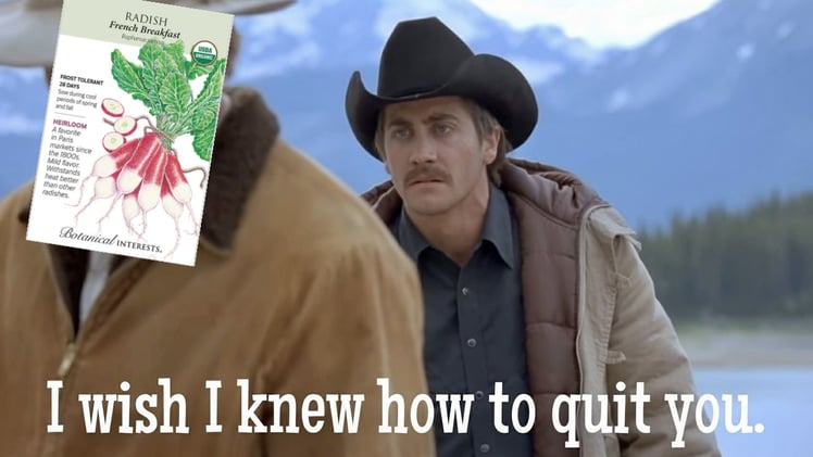 The Plant You Just Can't Quit