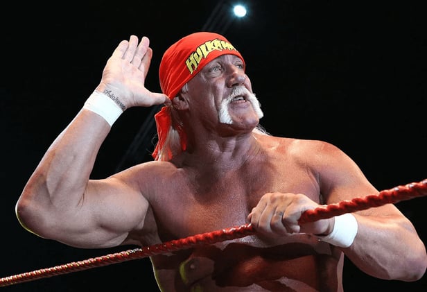 Hulk Hogan, Wrestling Icon, Dies at 71