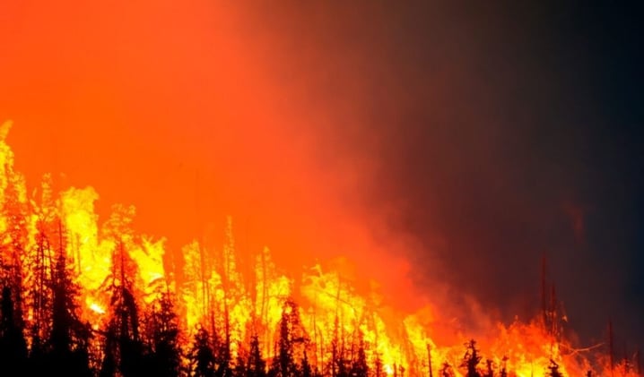 🌠 Meteor Hits Tonight