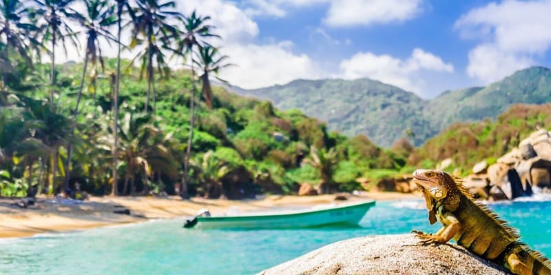Travel Hacks: 12 Direct Flights From LAX