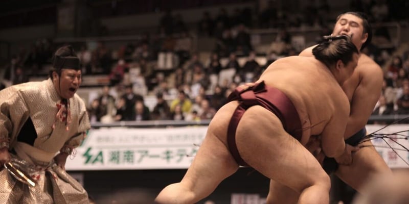 2026’s Most Surprising Travel Trend?