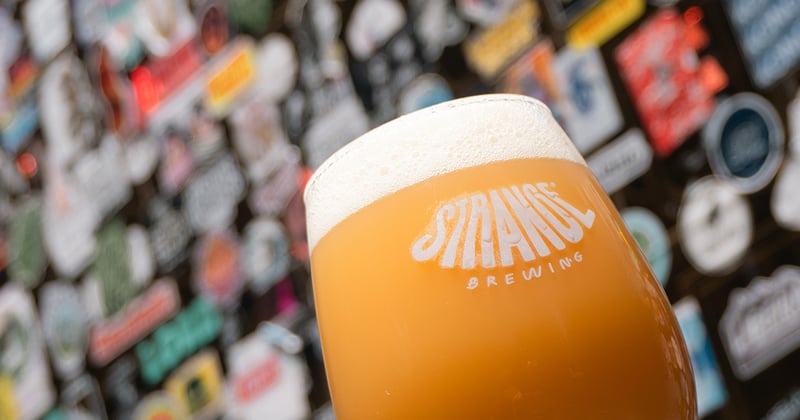 Un Destino y un Capitán bajo el árbol