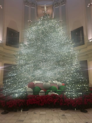 Powerful new database could help spot health care trends