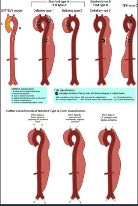Silent but Serious: Incidental Aortic Dissection Linked to Genetic Variants in a Young Dog