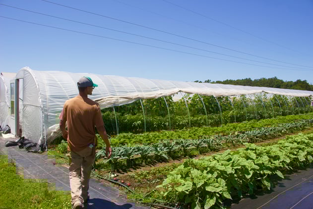 A 24-year-old farmer is reinventing the way Northwest Arkansas thinks about its vegetables—and what it means to be successful