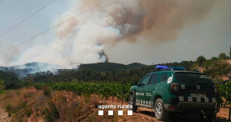 Risc alt d’incendi forestal a 31 comarques de Catalunya a partir d’aquesta mitjanit