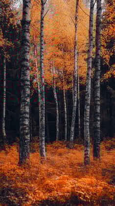 CoolNerdStuff | Daily Wallpapers 9/19