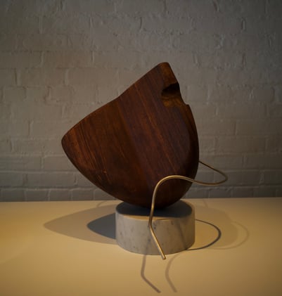 January's Museum Lineup ❄️