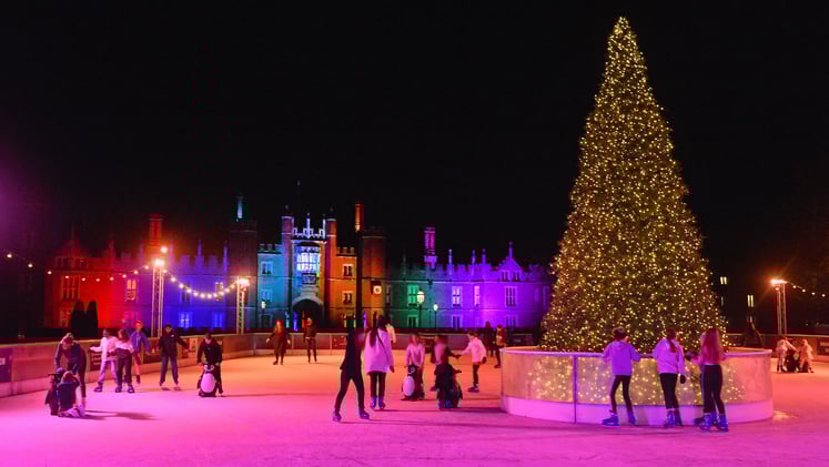 🌳 Christmas Fairs, The Snowman, Ice Skating, What's On & The Wordle | 17th November