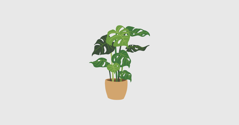 Houseplants