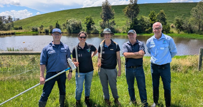 How to show your Gippsland dam a little love, and welcome back turtles and frogs 