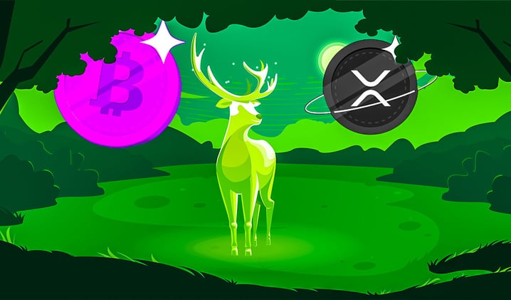 Analytics Firm Says Bitcoin and XRP Flashing Bullish Signals, Predicts Further Downside for One Top-25 Altcoin