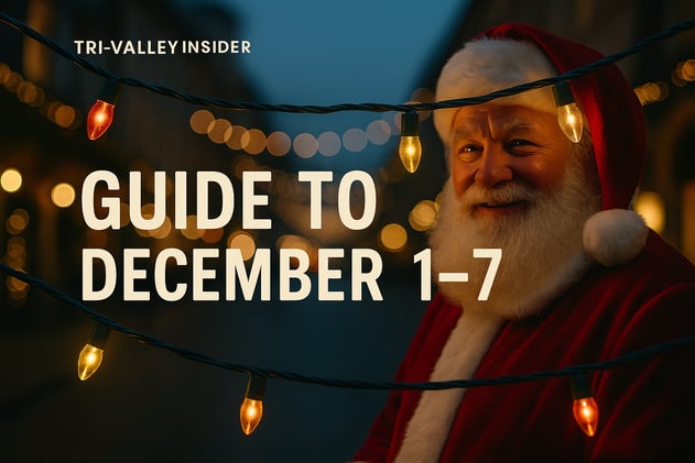 Holiday Season Edition - Lights, Trees & Festive Nights