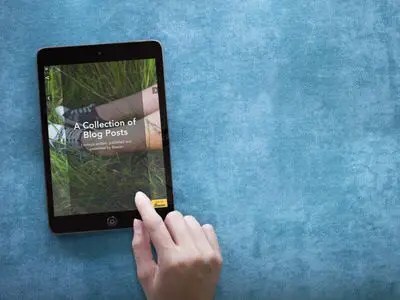 Cómo convertir en eBook las entradas de un blog