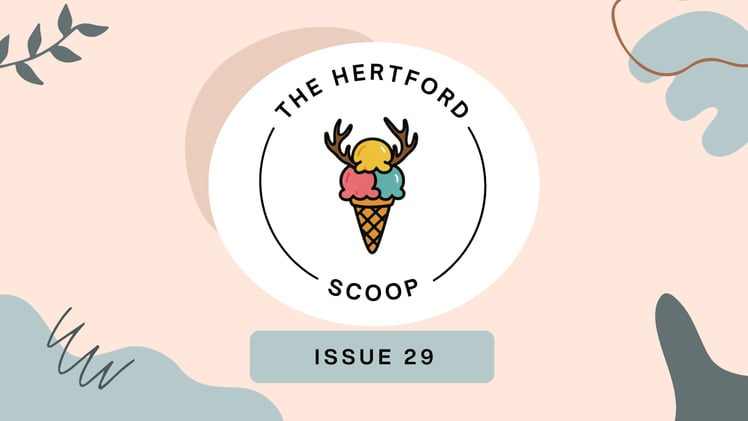 👉 Your Festive Weekend Sorted: Music, Markets & Magic Inside