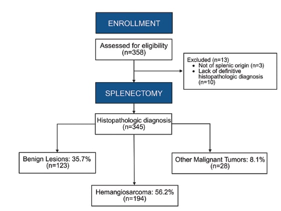 Another evidence that the 1/3-2/3 rule for splenic mass is in the presence of hemoperitoneum