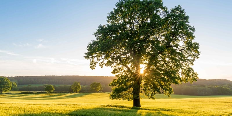 🗞️ Receding hairline