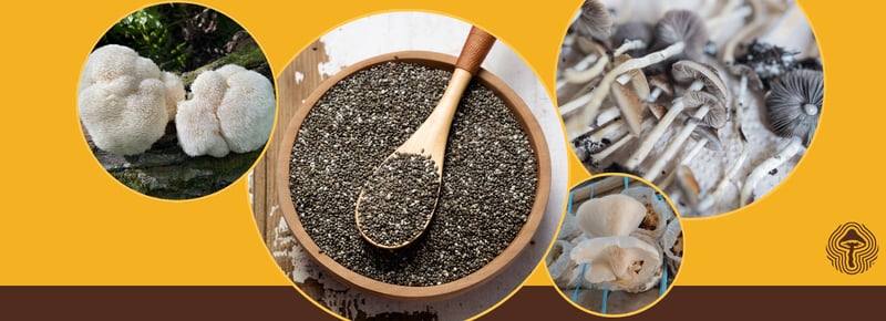 Stronger Cordyceps, Blood Sugar Help, and Psilocybin for Cravings