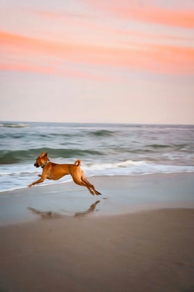 In Our Influencer Era