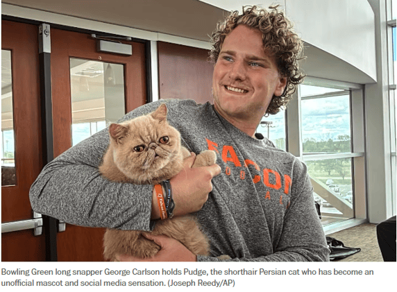 The Only Player Fans Really Want? Hint: He’s Fluffy and Judgy 🏈🐱