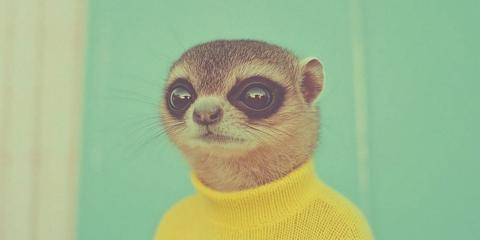 AI Reading for Friday October 17