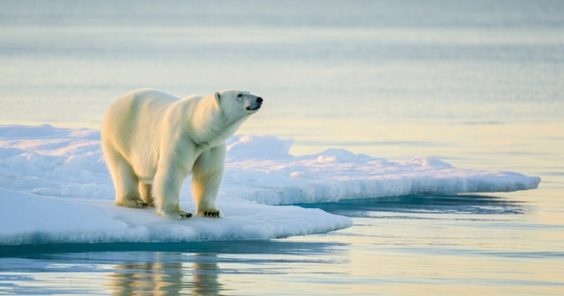 📉 Softer Visit Numbers? 5 Digital Fixes That Work Fast