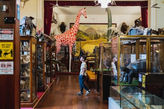 The best museums to visit around Perth