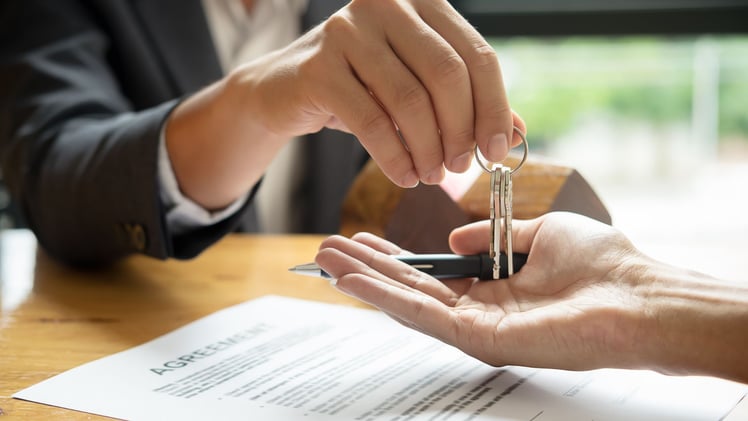 Signals Changes the Game - Here's your NEXT Move 🚦