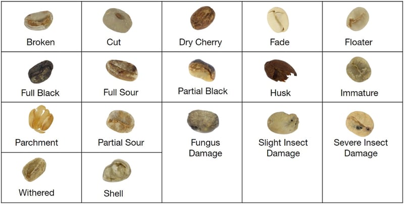What If We’ve Been Wrong About Coffee Defects?