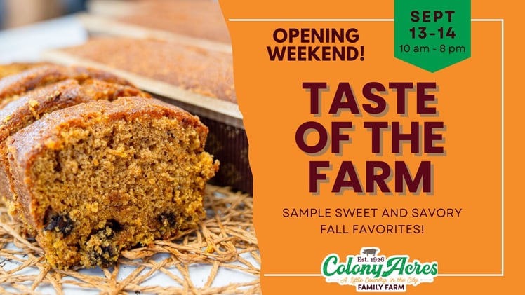 🌡️ Sep. 11 - 14 | Your Johnson County Weekend Plans