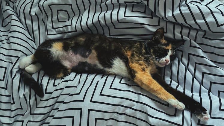 Ideias absurdas salvam vidas - 09