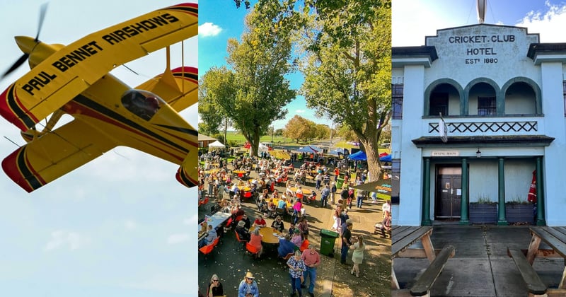 🦎 Ultimate guide to April events