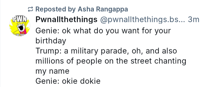 Springville Action - 6/15/25 #25