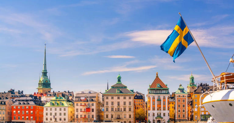 Salty Ginger Talk Newsletter